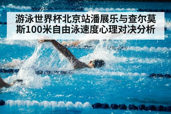 competitive swimming pool